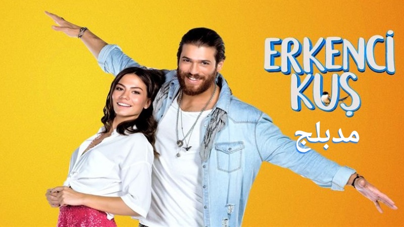 مسلسل طائر الصباح (الطائر المبكر) الحلقة 50 الخمسون مدبلج