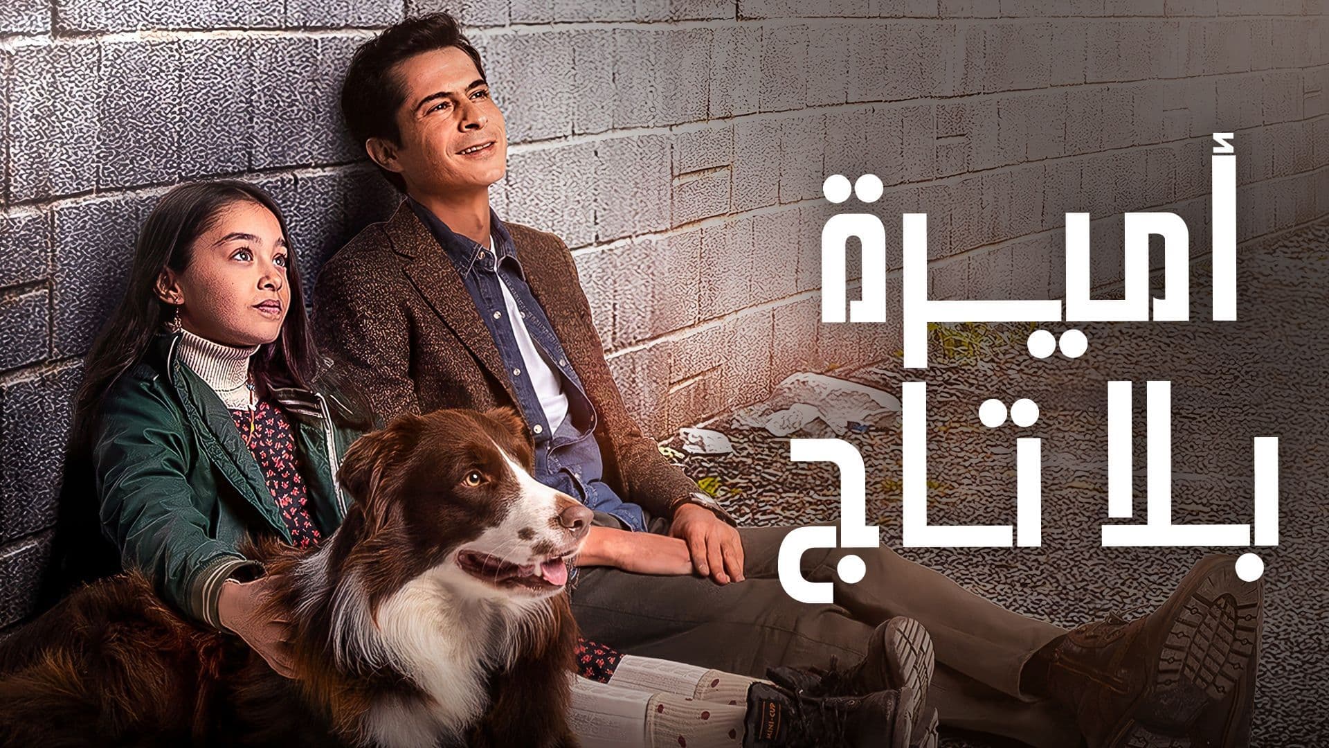 مسلسل اميرة بلا تاج الحلقة 1 الاولى مدبلج